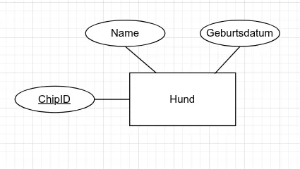 Symbol eines Entity-Typs mit Attributen und einem Primärschlüsselattribut nach Peter Chen.