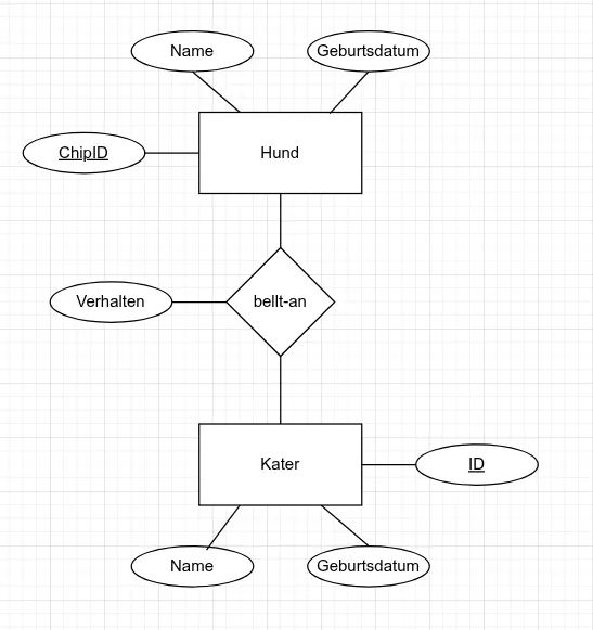 Symbol eines Relationship zwischen Entitäten mit einem Attribut in der Chen Notation.