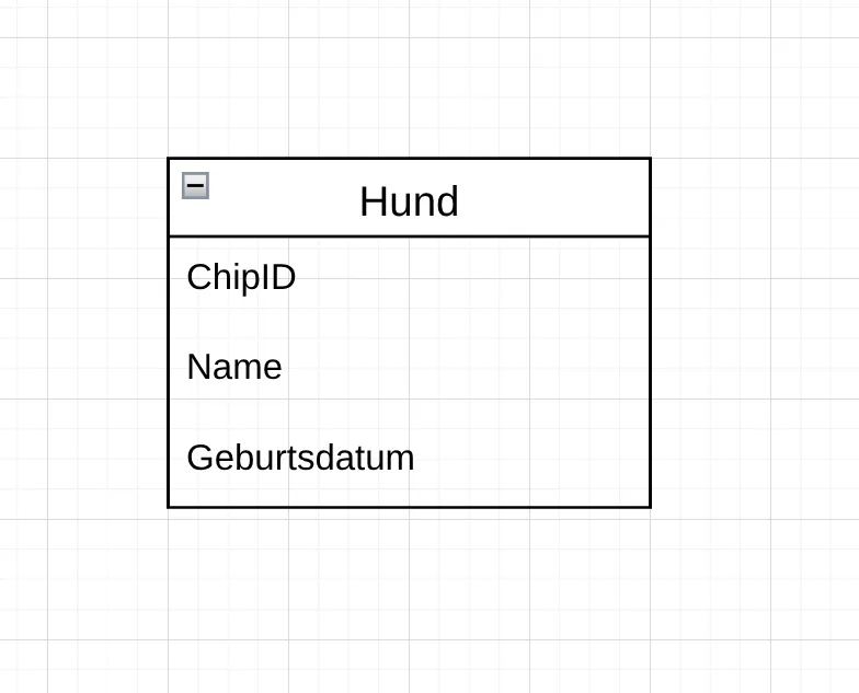 Ein Entity in der Krähenfuss Notation.